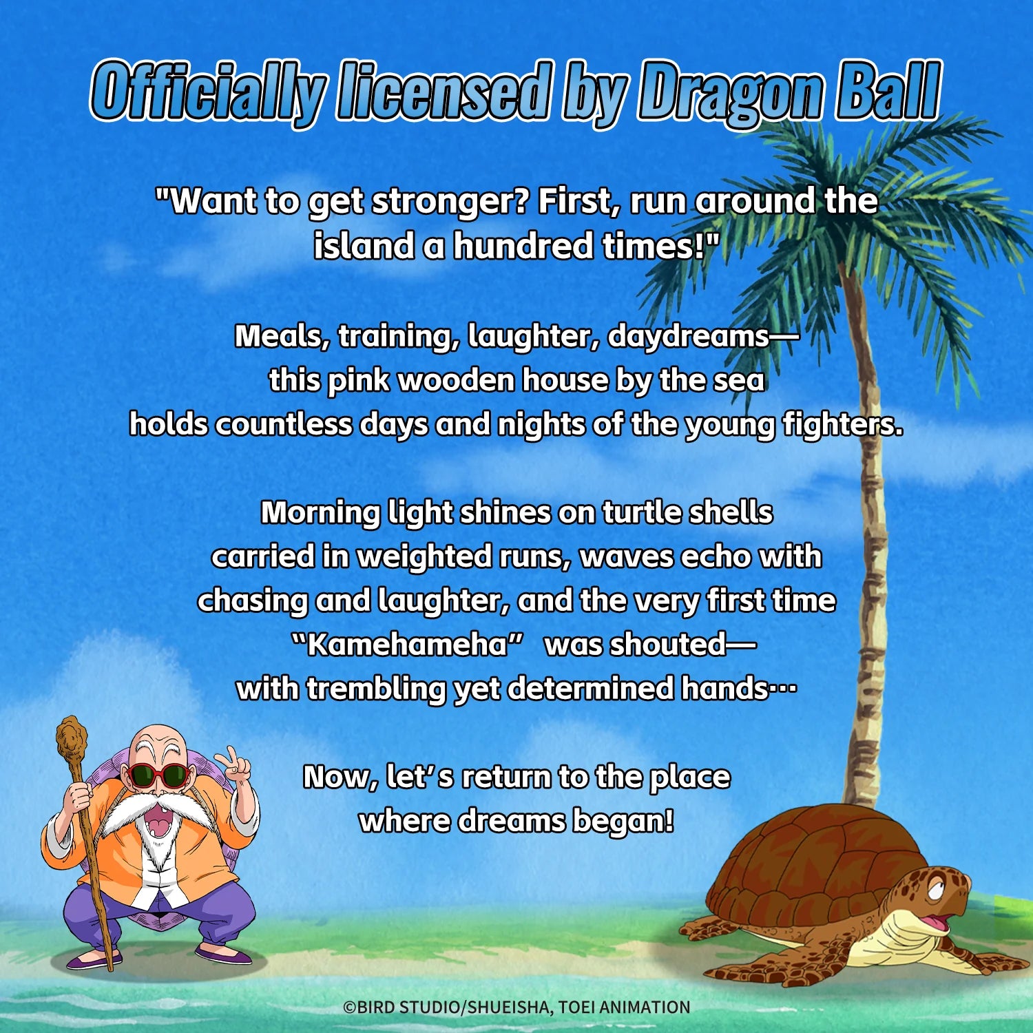 Dragon Ball Kame House 87002